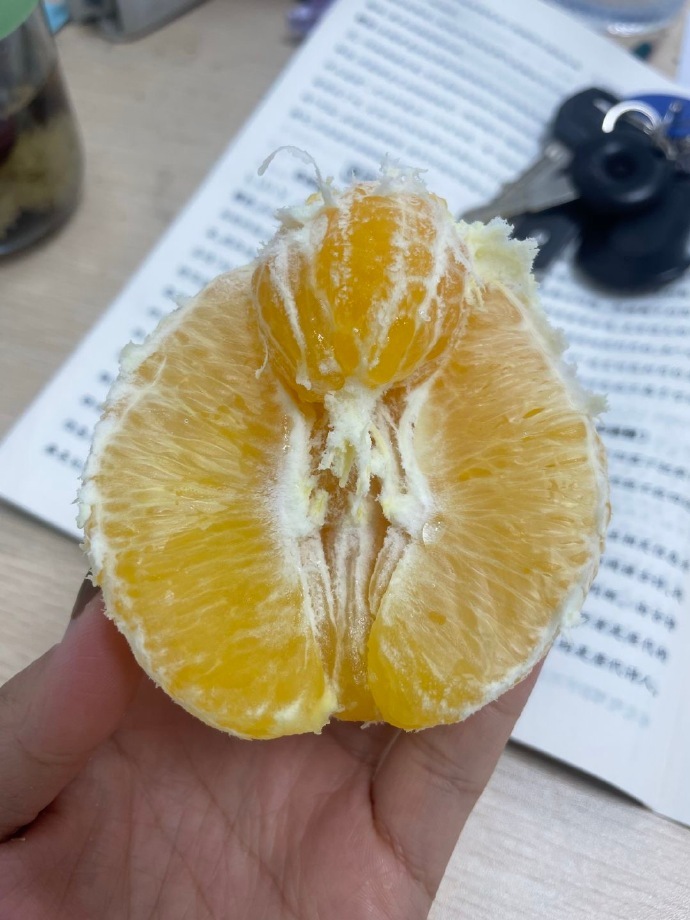 橙子怎么还带小孩出来的啊 
