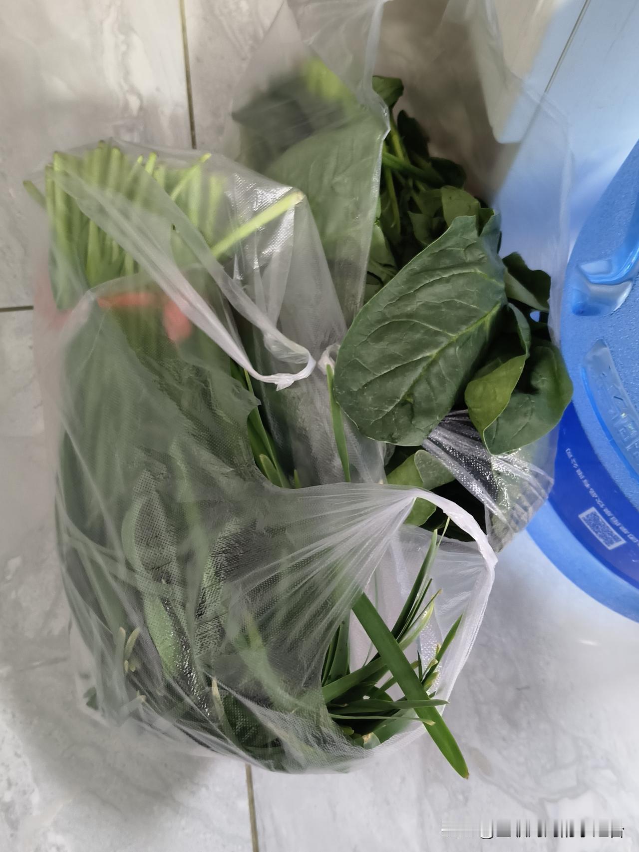 今年第一次买韭菜。

傍晚在小区门口有卖菜的，
韭菜2元一捆，
就买了一捆。
