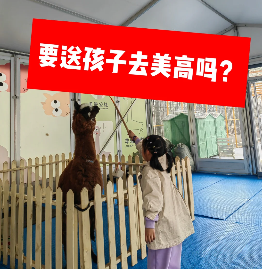 为什么鼎石德威ISB那么多孩子去美高？