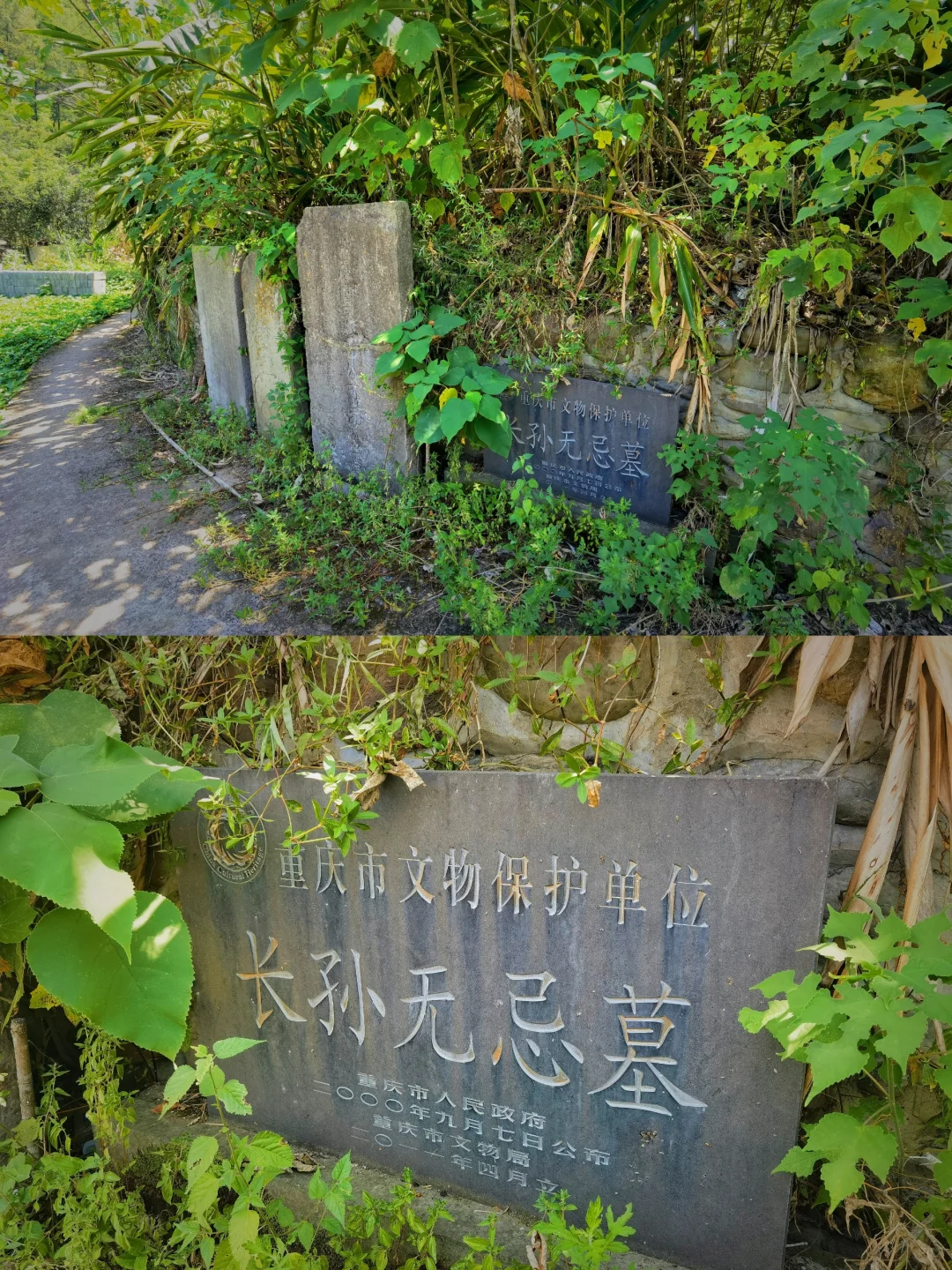 【武隆乌江边的“天子坟”：长孙无忌墓】