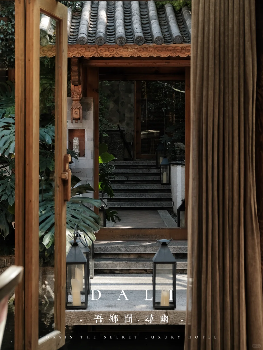 大理旅行 | 小院里的白玉兰终于盛开