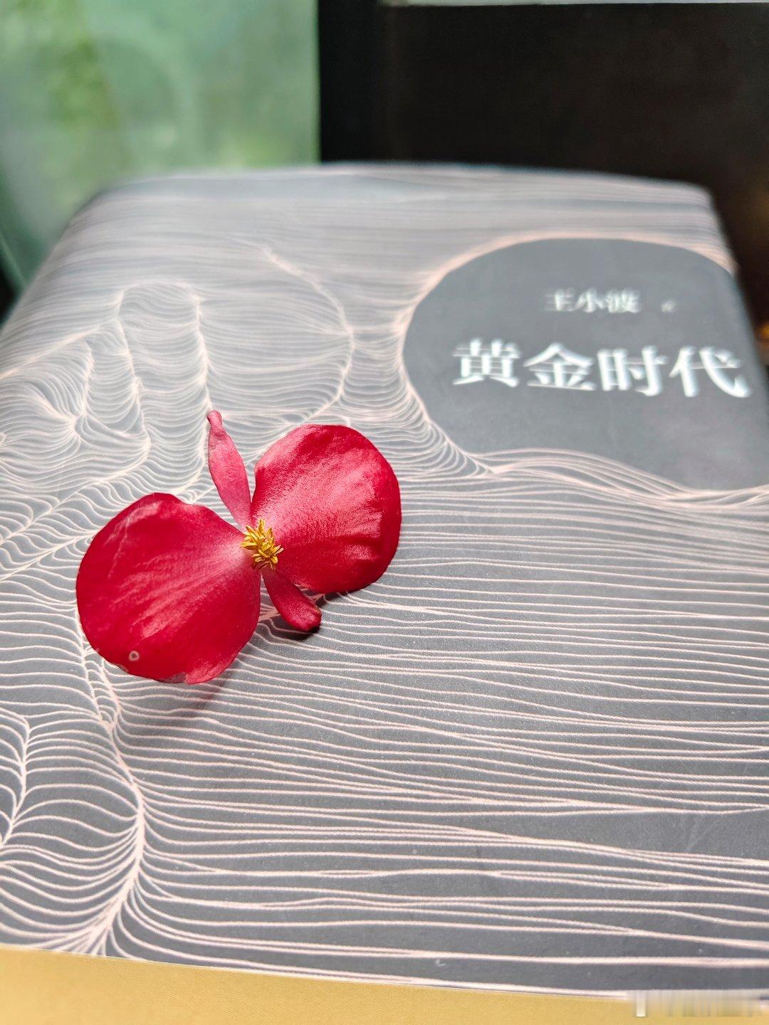 英满锦官城，无处不销魂。随风潜入室，梦里会花神。（平仄太难了，豆包改的也不喜欢，