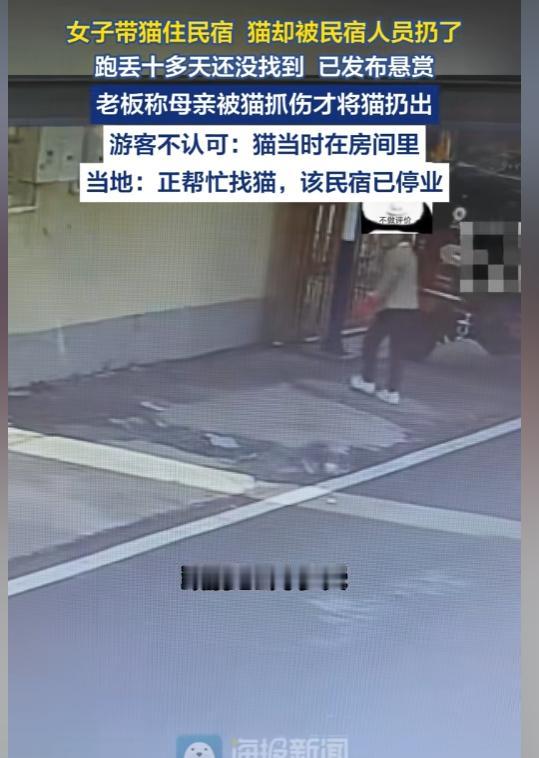旅游遇糟心事！8年相伴猫咪被民宿人员当街丢弃，宠物友好难道只是吸客的噱头？
 