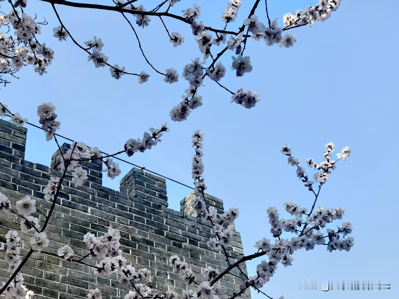 ​公元前221年，秦始皇一统天下。公元2026年，2247 年过去了，人一辈子按