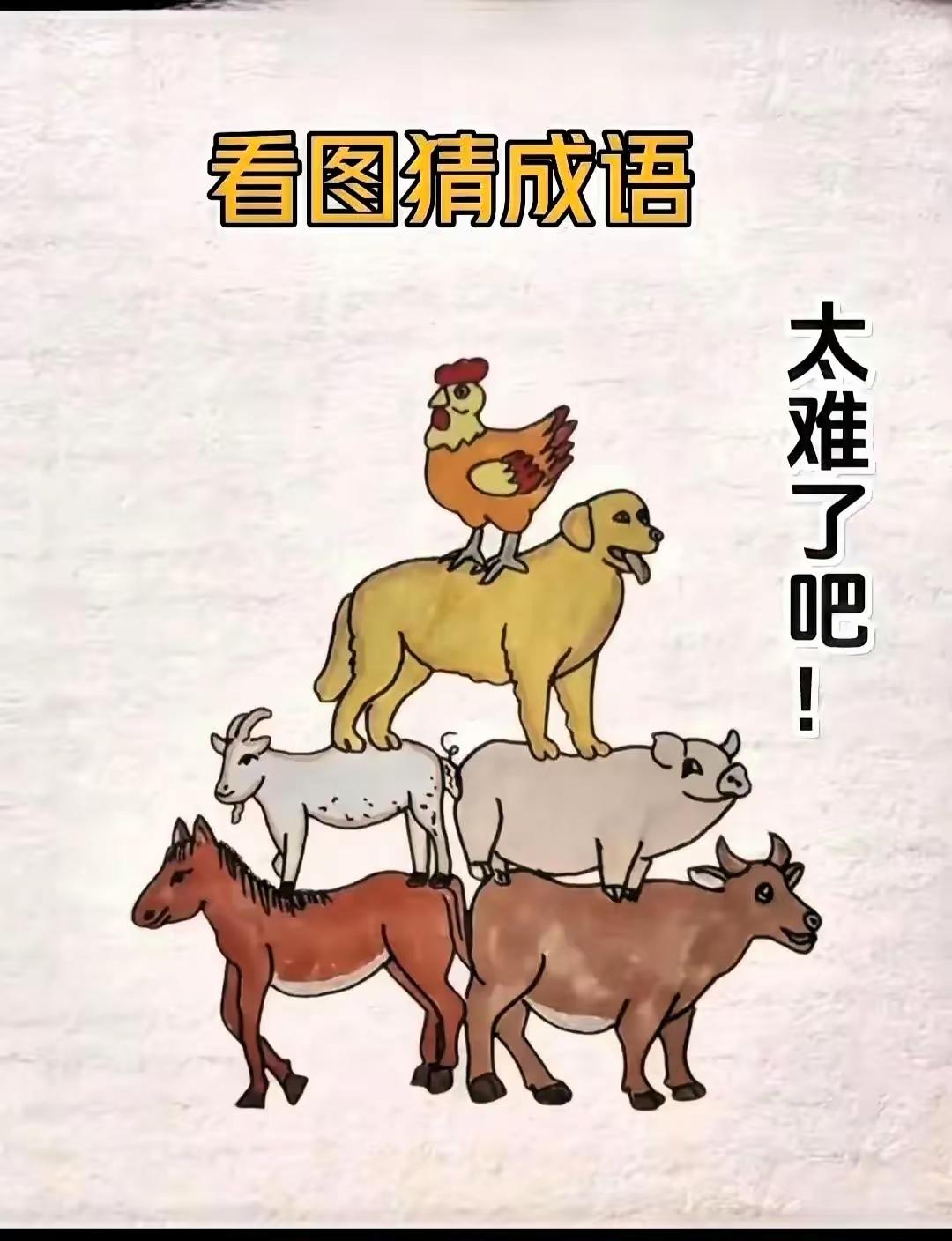 这个可不好猜吧