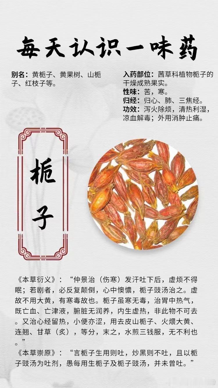  【每天认识一味中药材】[鲜花]栀子🔔别名：黄栀子、黄果树、山栀子、红枝子等。