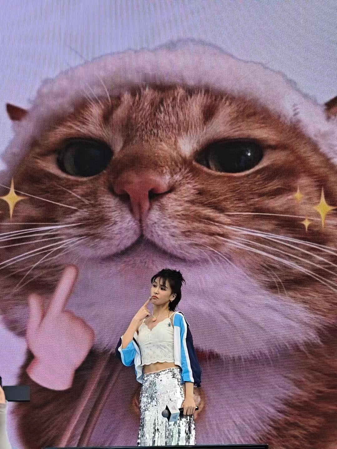 啊啊啊啊啊啊啊啊啊啊啊啊猫塑你赢了 