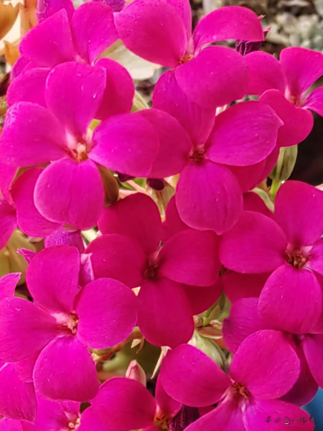 致2026年的自己
 
嘿，新一年的我！别总盯着别人的路瞎忙活，咱就按自己的节奏