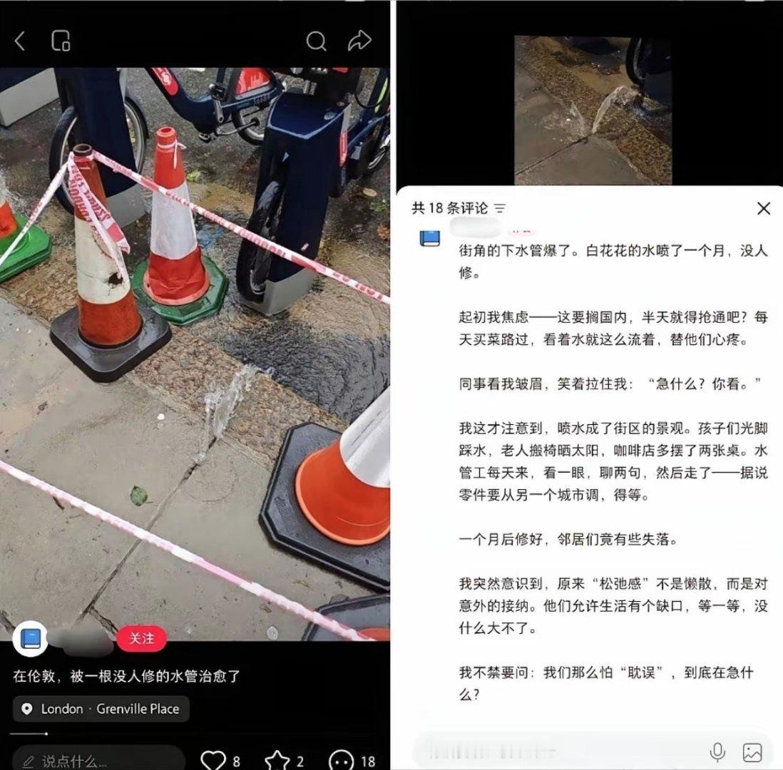 “在伦敦，被一根没人修的水管治愈了” 