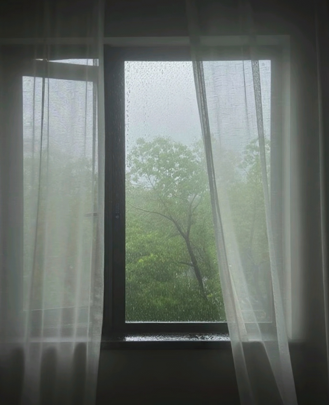我讨厌的事情太小，不好意思和你吐槽。睡不着，不知道吃什么，没下雨，都好烦躁。我缺