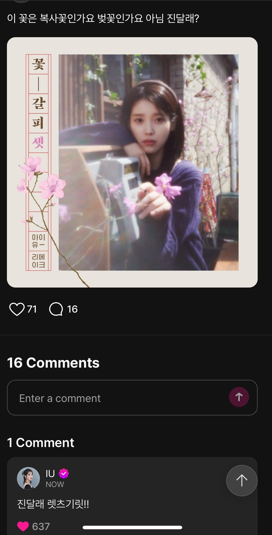 IU0527花书签3🐥IU李知恩0516生日快乐 onlyU消息-250515