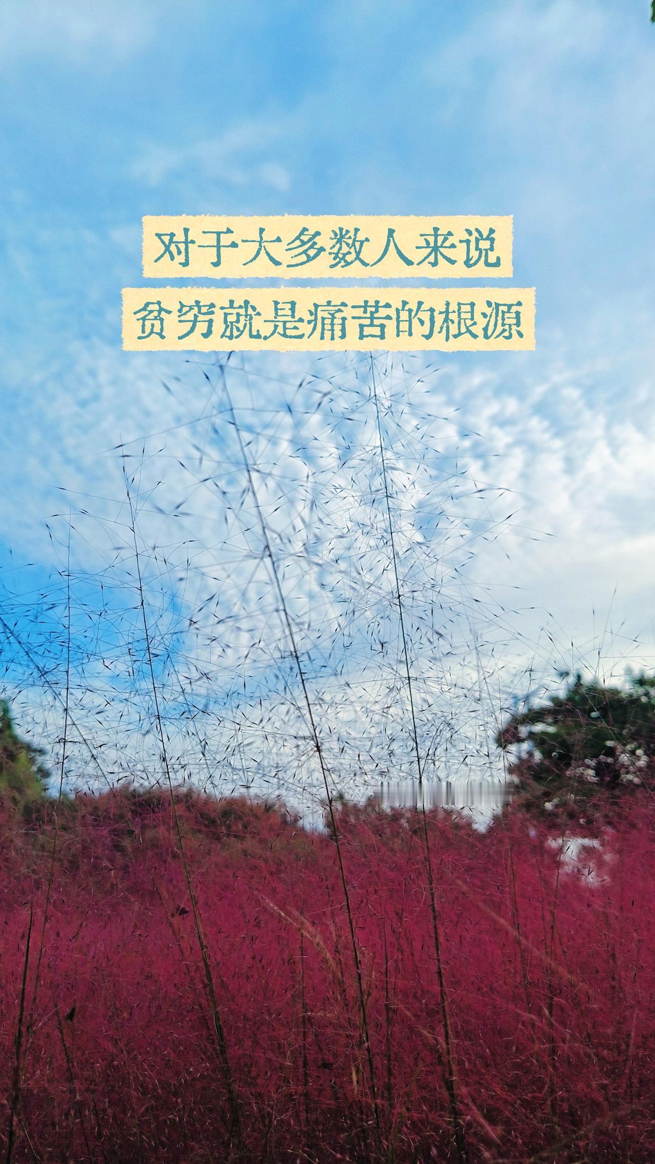 对于大多数人来说，痛苦的根源在于贫穷，对于另一些人来说，痛苦的根本原因是抵抗失去