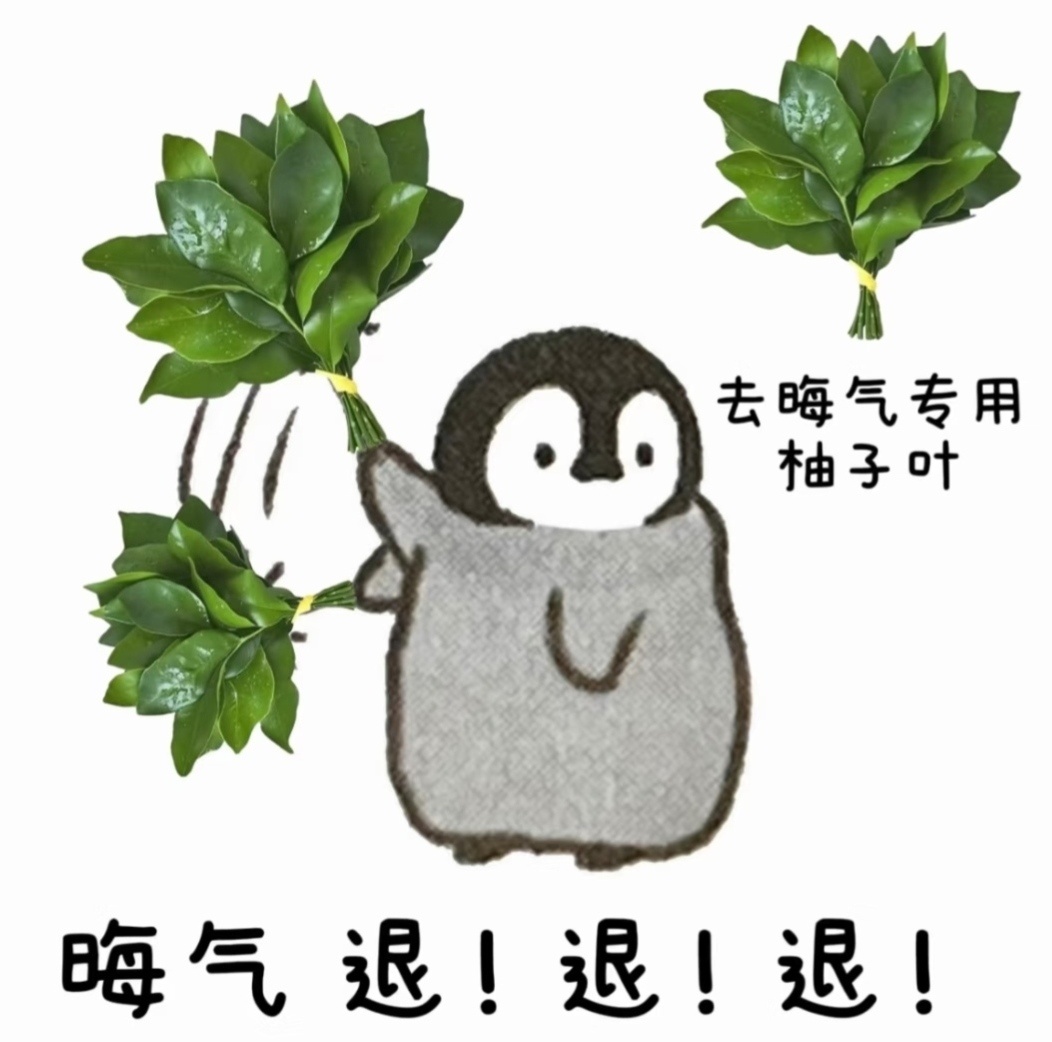 一天净遇神人了 