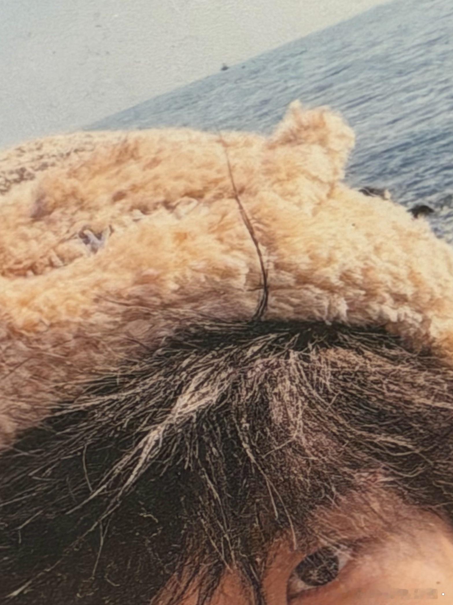 好萌好萌好萌…………好萌好萌好萌…………好萌好萌好萌…………好萌好萌好萌…………