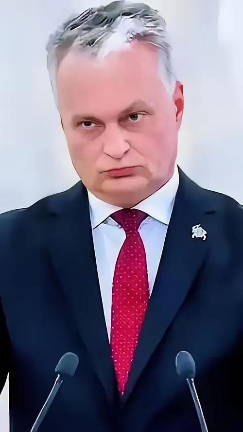 活久见！立陶宛总统瑙塞达为了推脱责任，2月12日他对着立陶宛国家广播电视台公开宣