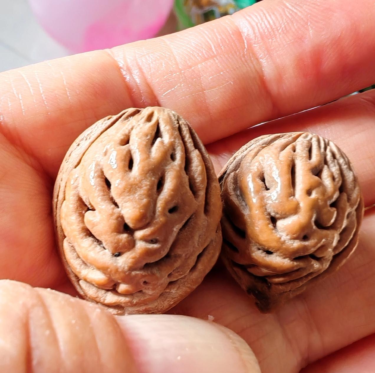 这两枚桃核也很独特，像一种动物的脸谱。
请仔细观察一下，是像哪种动物呢？
每个人