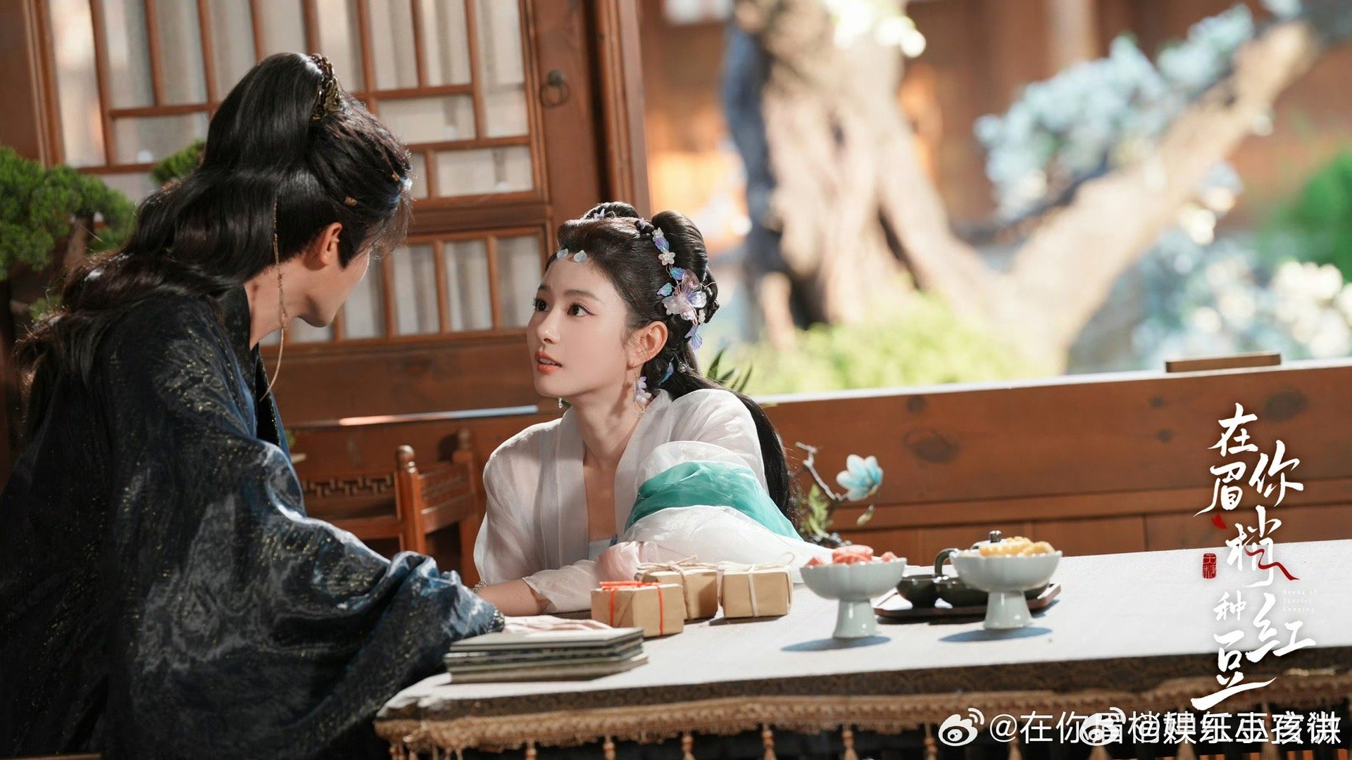 郑业成想和赵晴拍姐弟恋🥳东北老乡梦幻联动！郑业成×赵晴专访越品越香，美人忠犬配