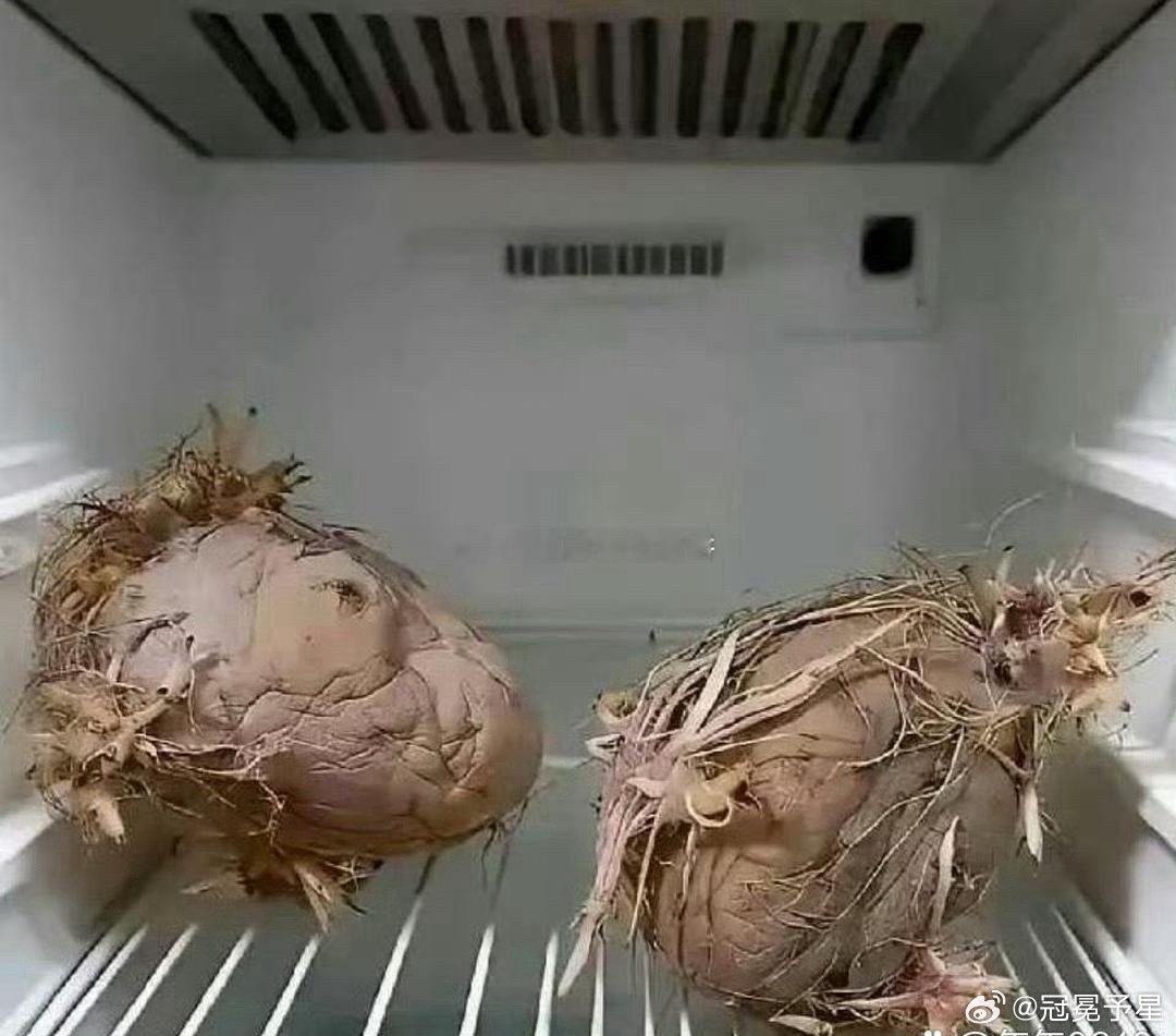 不得不说老一辈就是节约，殊不知电费都比它们贵。 