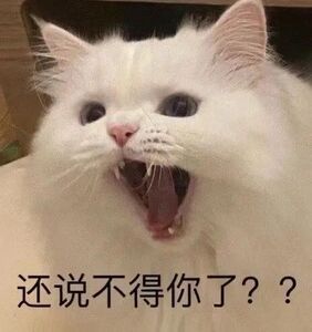 市监回应了：涉票务纠纷 与演唱会说错话无关， 那些说河南人不好的就是在辱骂自己的