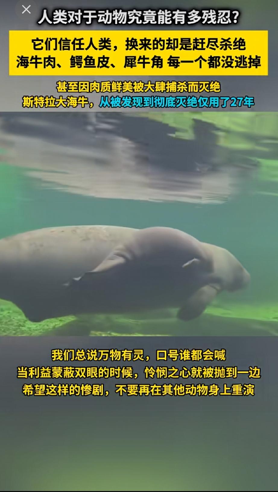 纸醉金迷与我无关，全球变暖让我承担。
锦衣貂裘一件没有，动物灭绝让我住手。