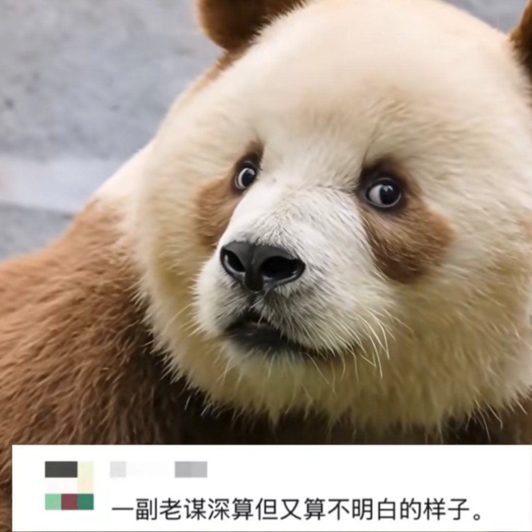 陈震下线了，下一个负能量集散地在哪里？