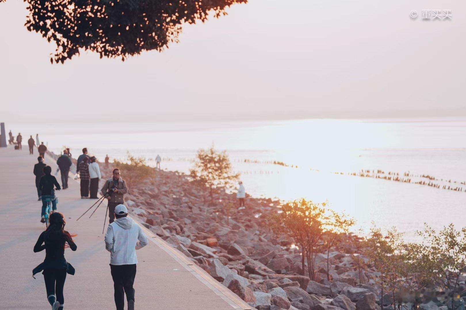早起深圳湾拍了鸟，看到了白鹤、夜鹭、黑翅长脚鹬、丝光椋鸟、黑顶琵嘴鸭等一堆鸟，很