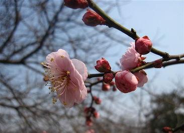 《冬去春来》中多个情节受观众喜爱：沈冉冉送假酒的职场社死场景，戳中打工人窘迫；徐