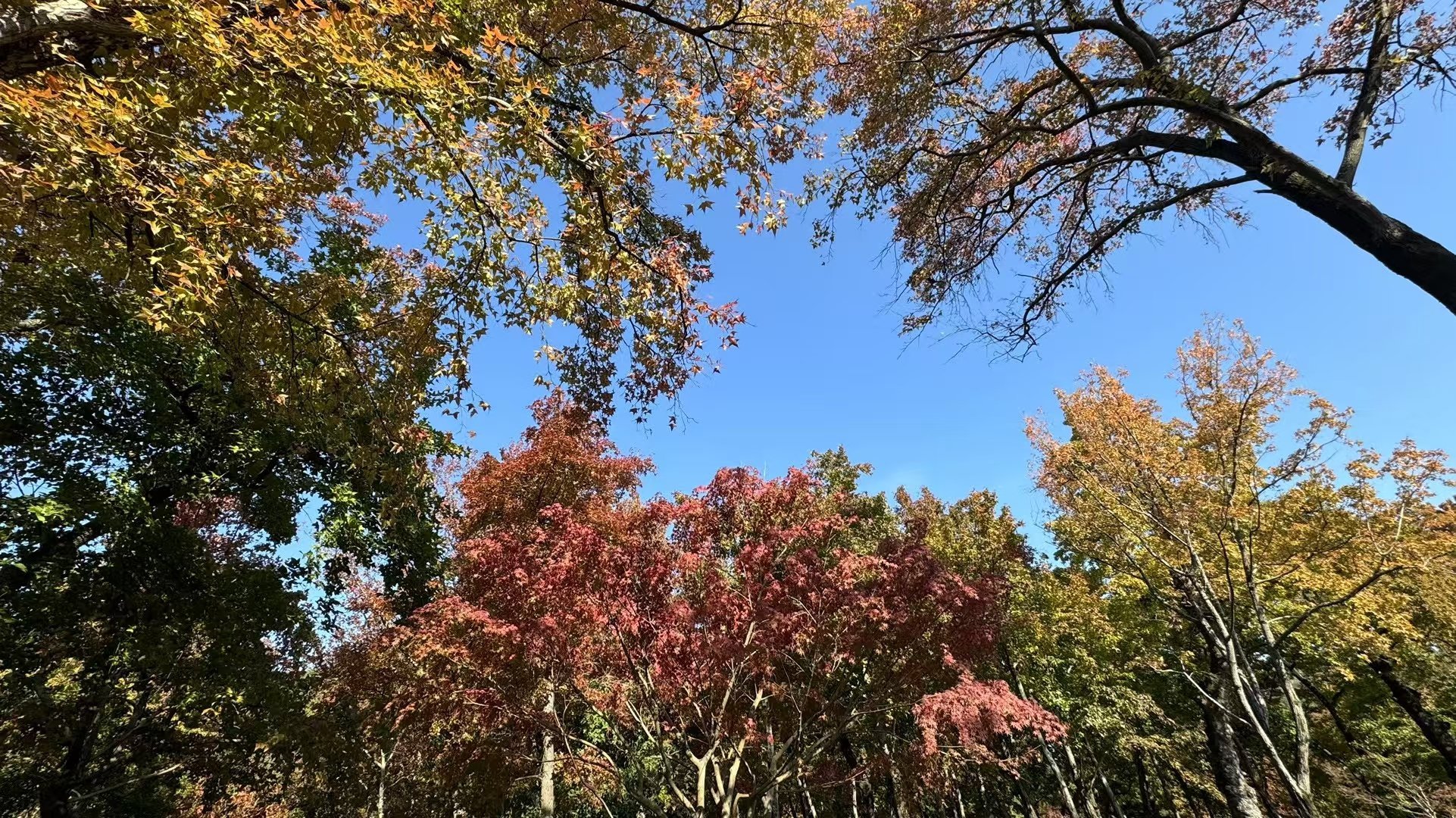 天平山，古称白云山，又名赐山。位于江苏省苏州市吴中区木渎镇灵天路，天平山海拔20