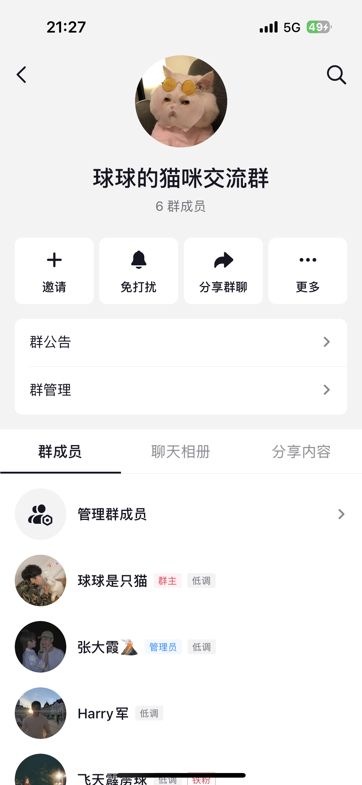 哈喽呀 球球的姨姨们 养猫的可以进某音的咪咪交流群哦 大家可以互相交流 关于球球