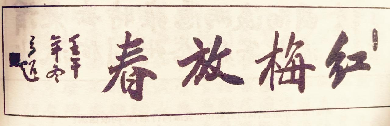 春放梅红，那是生命最美的绽放。就像2026年2月14日，在安徽省合肥市蜀山区匡河