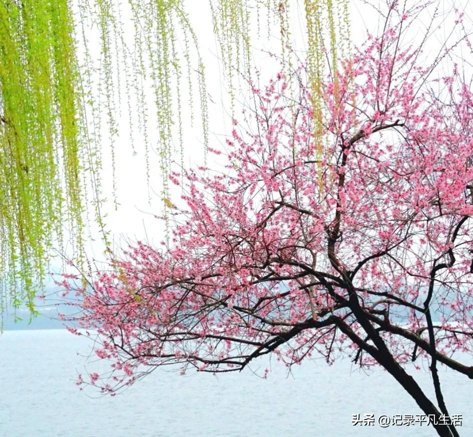 我刷到这个话题，我就坐在沙发上松了口气呀。
 
半年前我就是个普通打工人，下班就