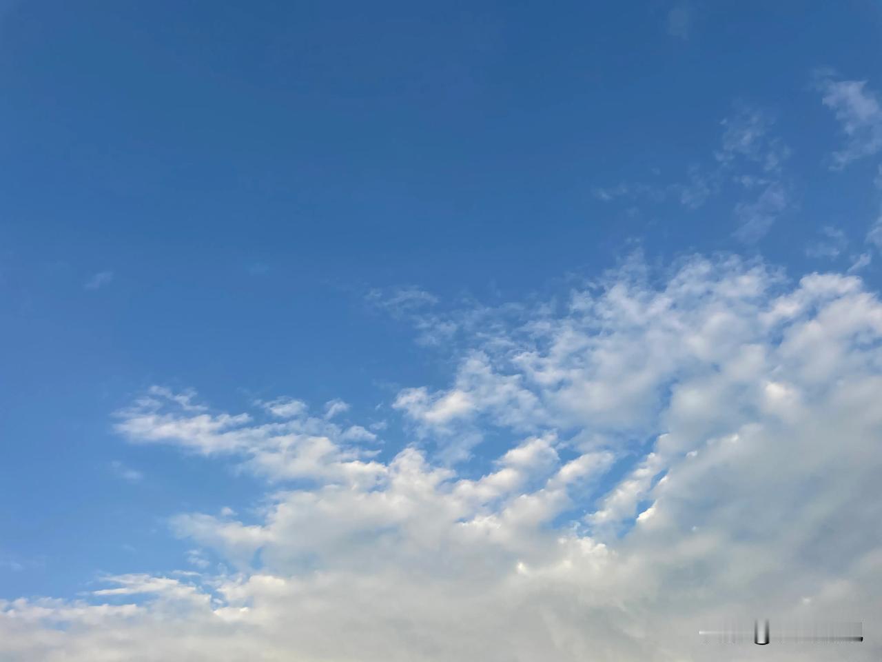 你就说美不美