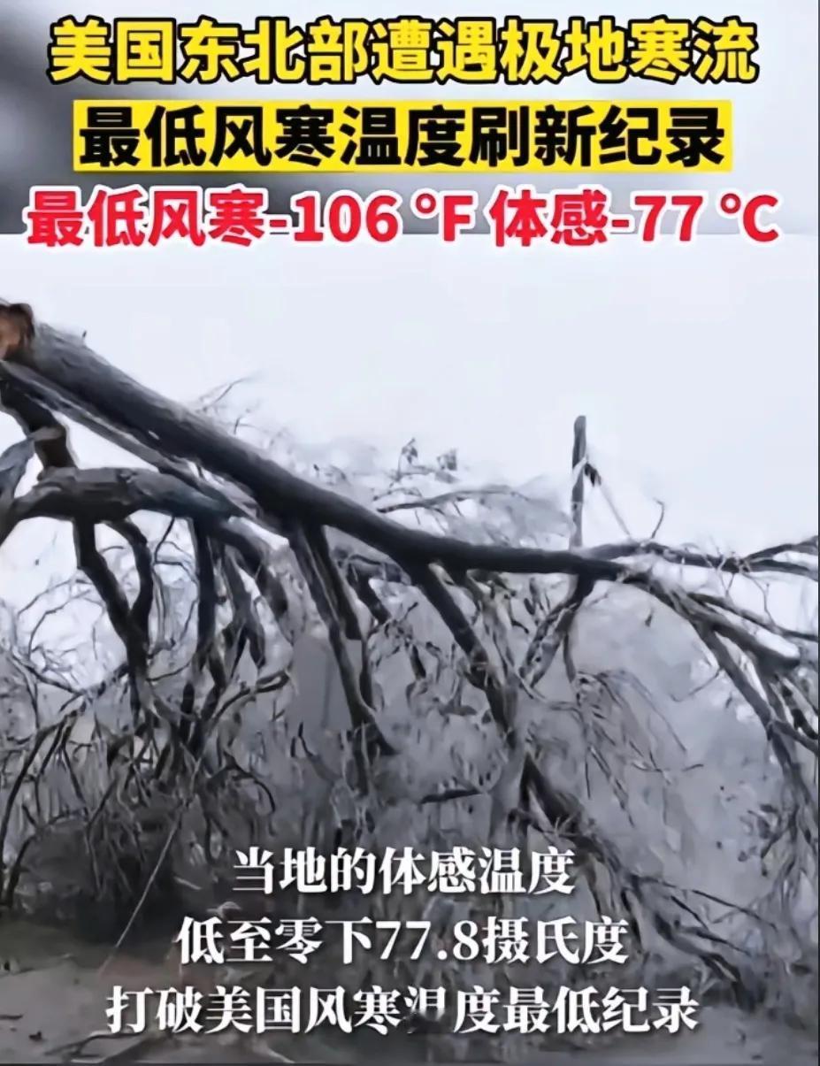 
         “美国这波寒潮，真的是让人后背发凉，不是因为冷，是因为那股