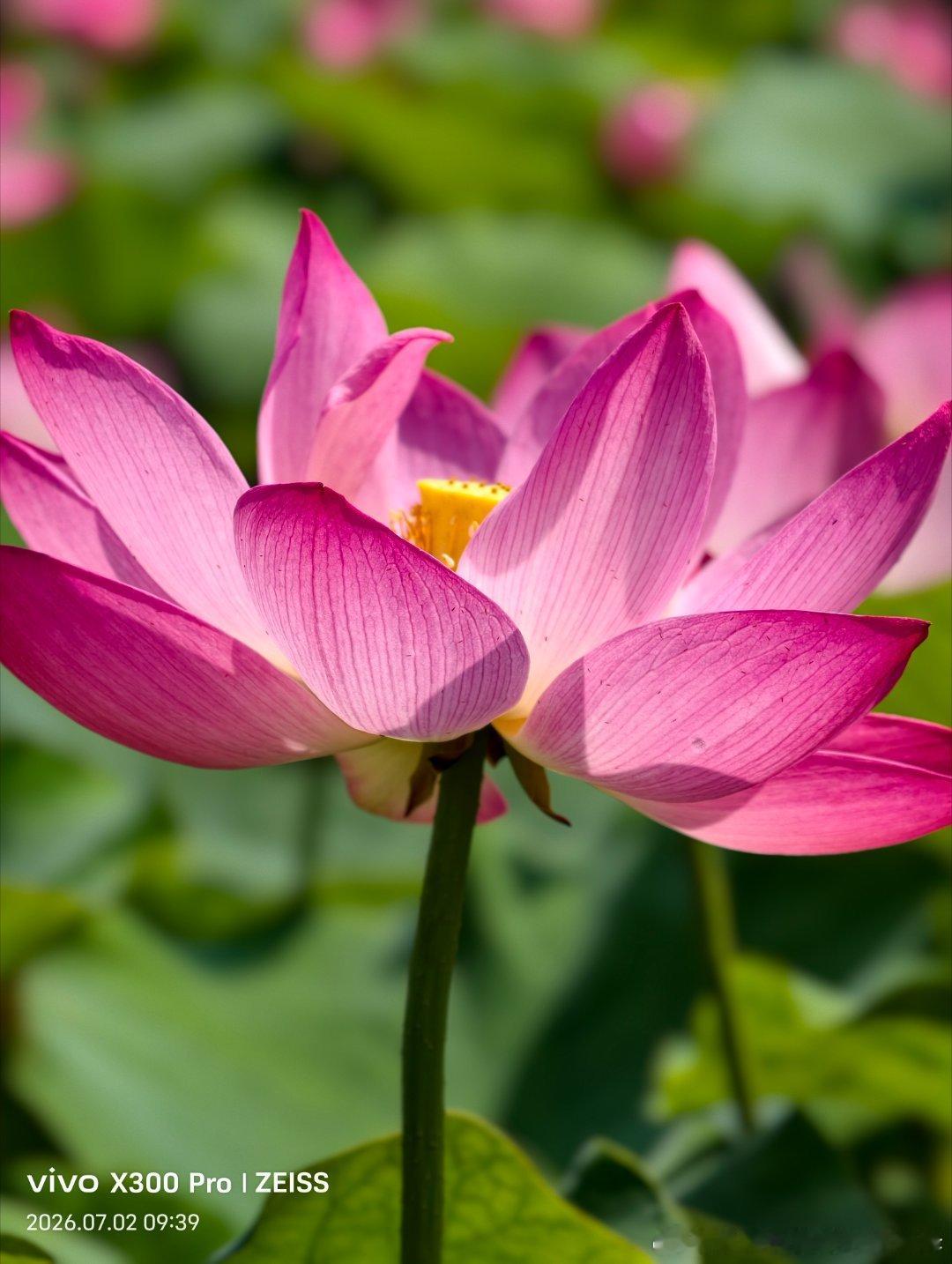 Don't distort yourself just to please ot