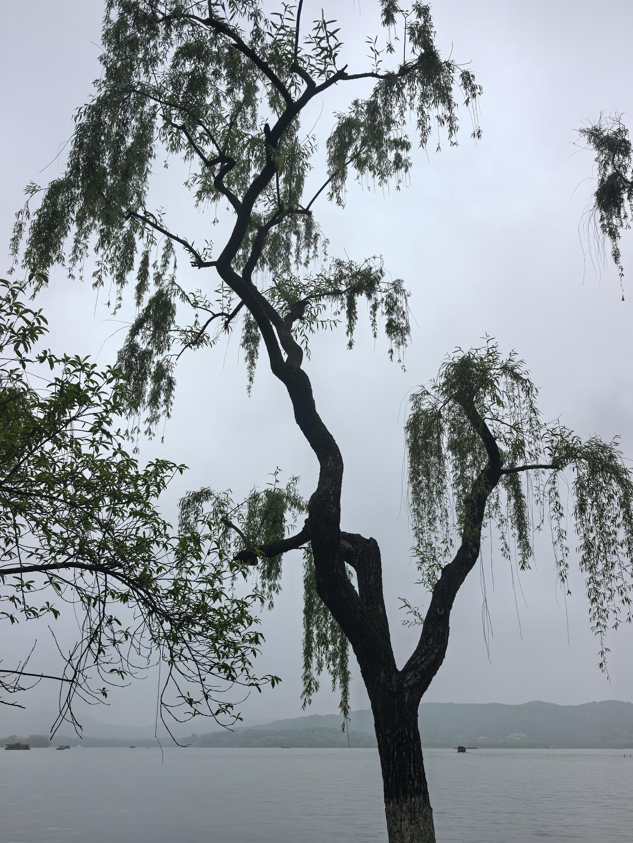 我最近也总在想，人生这一遭，有时候终点的样子很关键。你说，心梗或许是命运里最不算