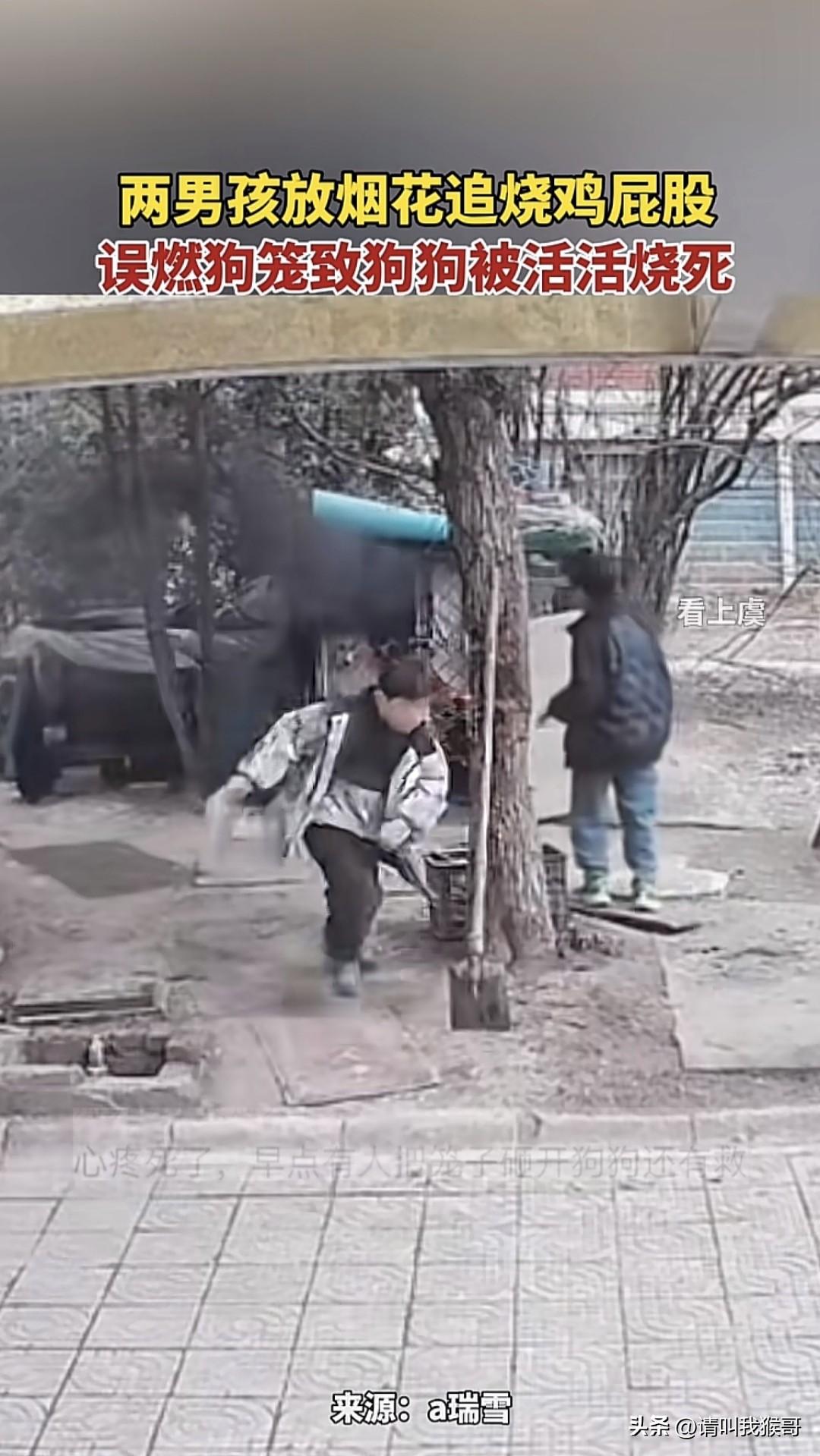 如果做不到保护动物，起码不应该去故意伤害。近日江苏某小区里两个孩子玩烟花嬉闹追着