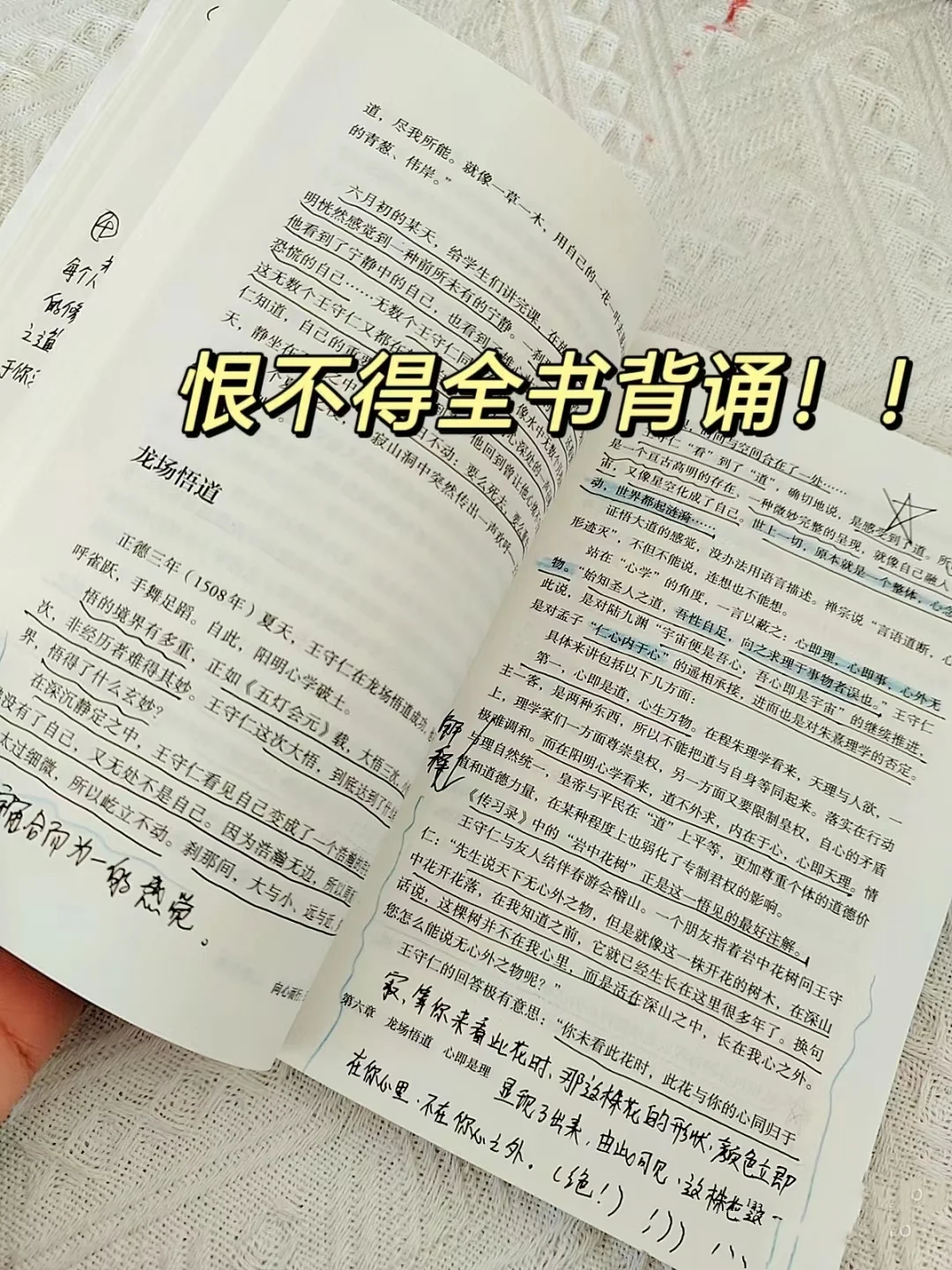 不愧是王阳明，让我大彻大悟！