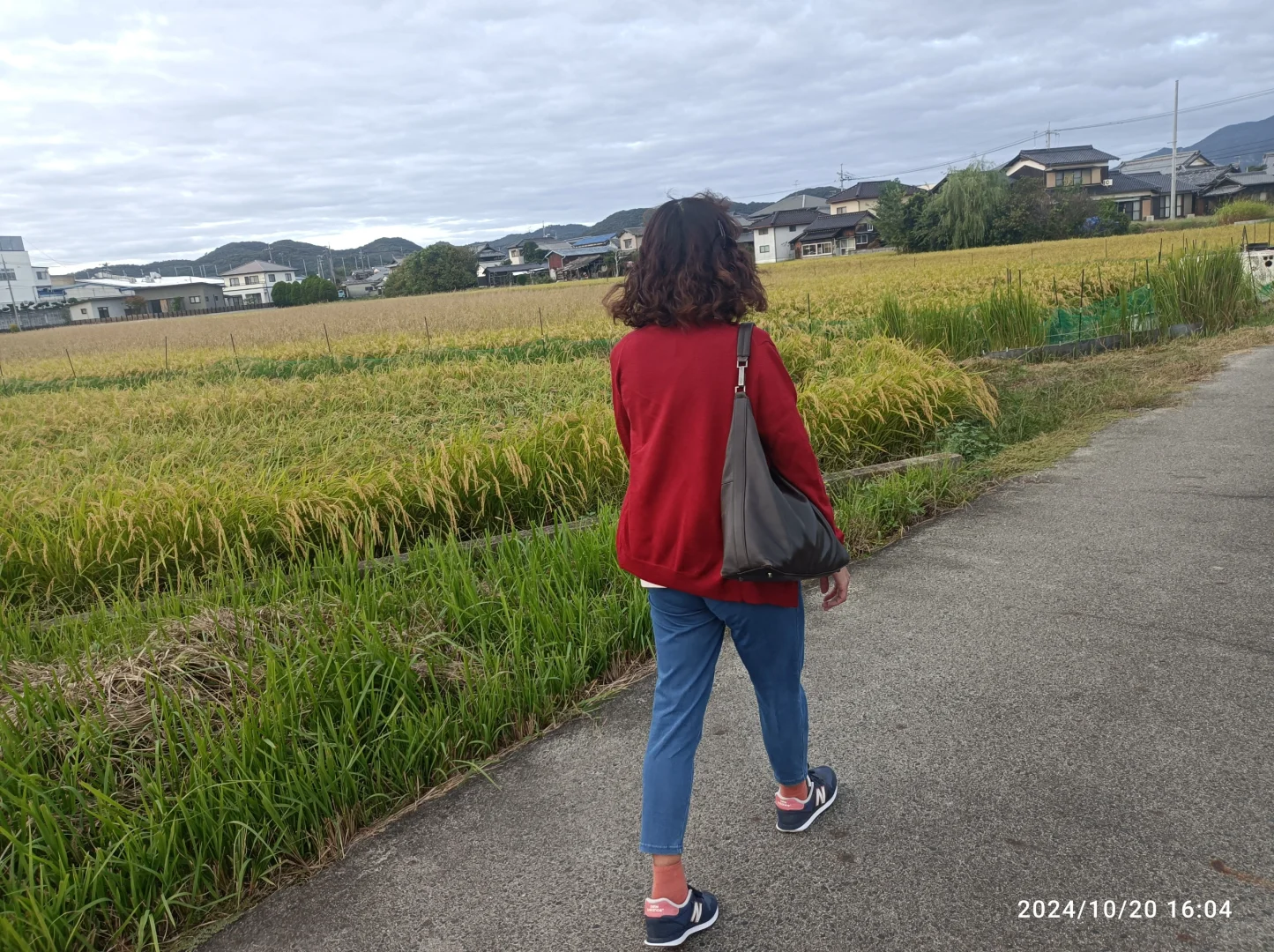 日本女50岁单身没孩子的最后救命稻草