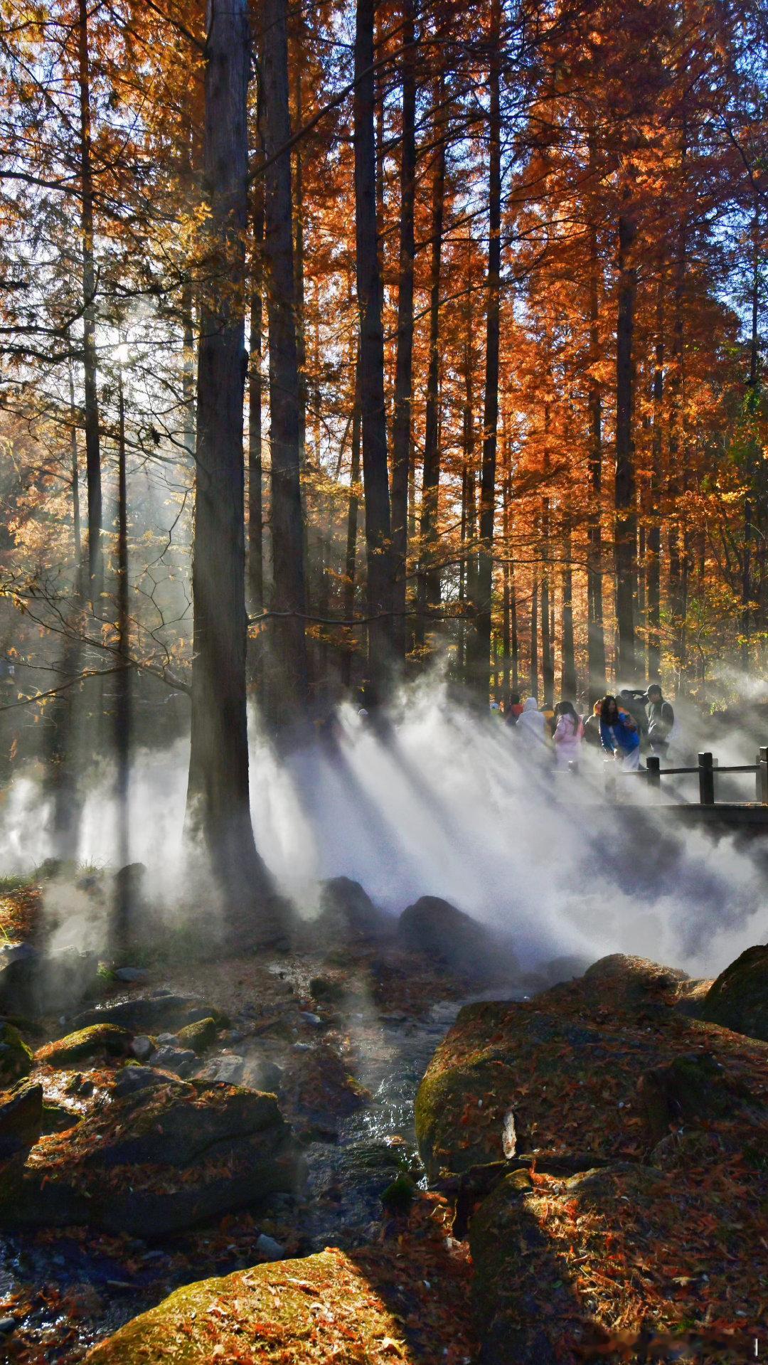 绚烂如醉——国家植物园 摄影