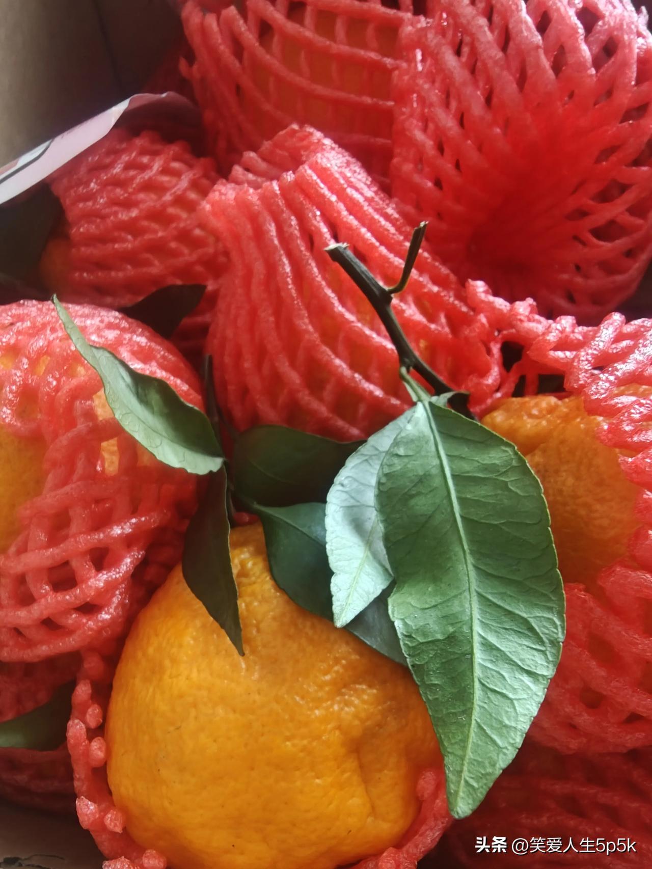 如今，不少人热衷于在网上买菜，价格低廉是大家公认的缘由。然而，网上的菜不如本地菜