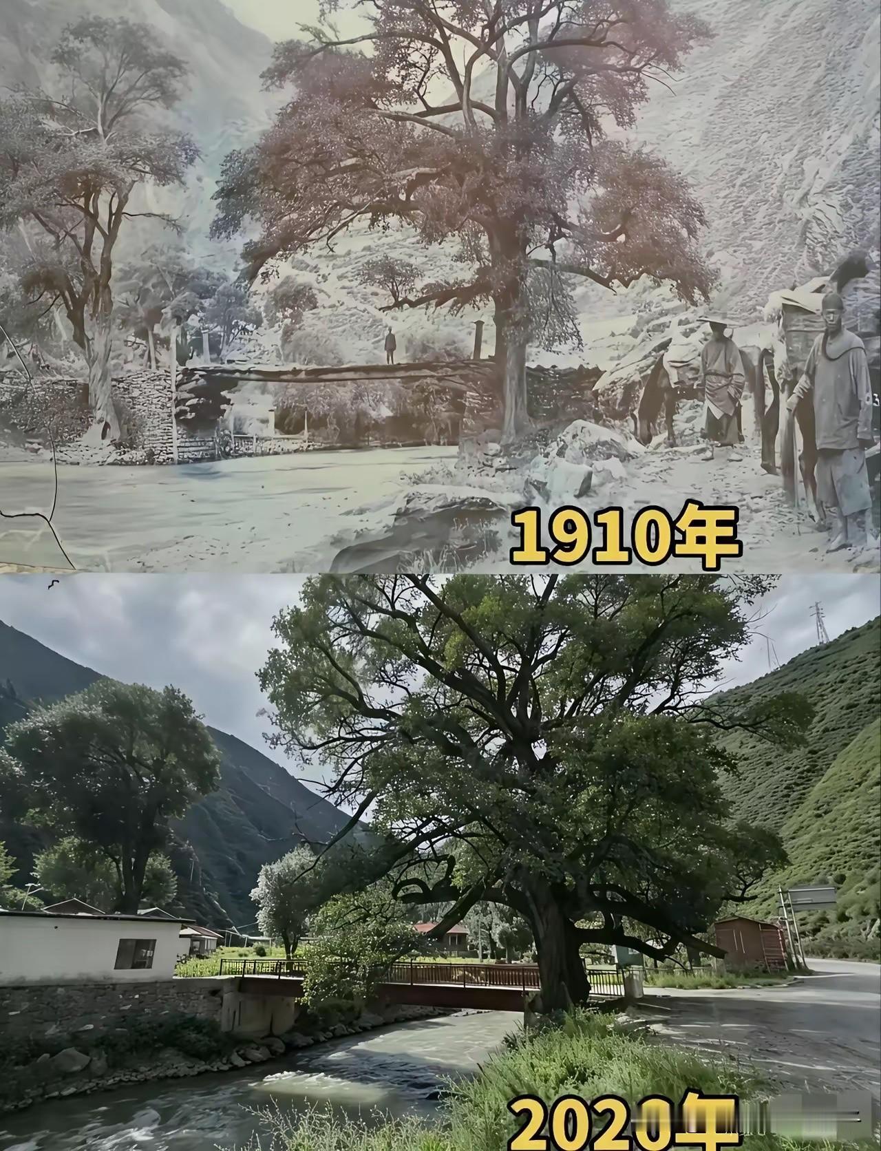 原来一百多年的时间，也是一瞬即逝！