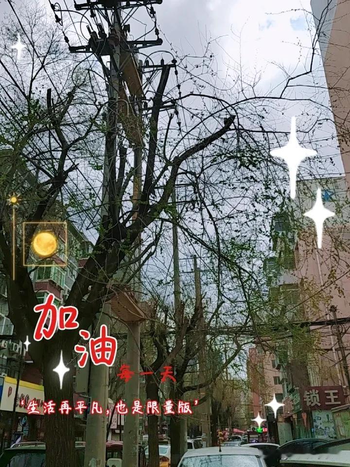 春日生活打卡季