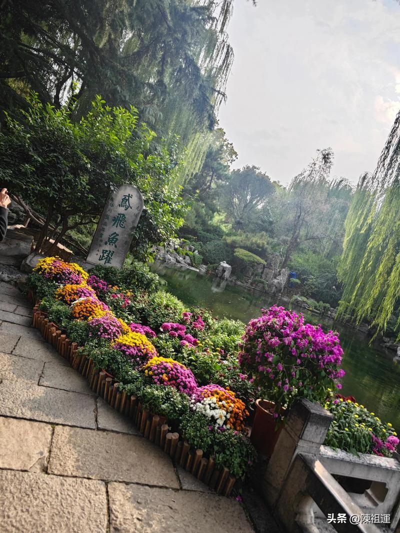 晨练的人们随处可见，有打太极的老者，一招一式沉稳缓慢，尽显太极的刚柔并济；有跑步