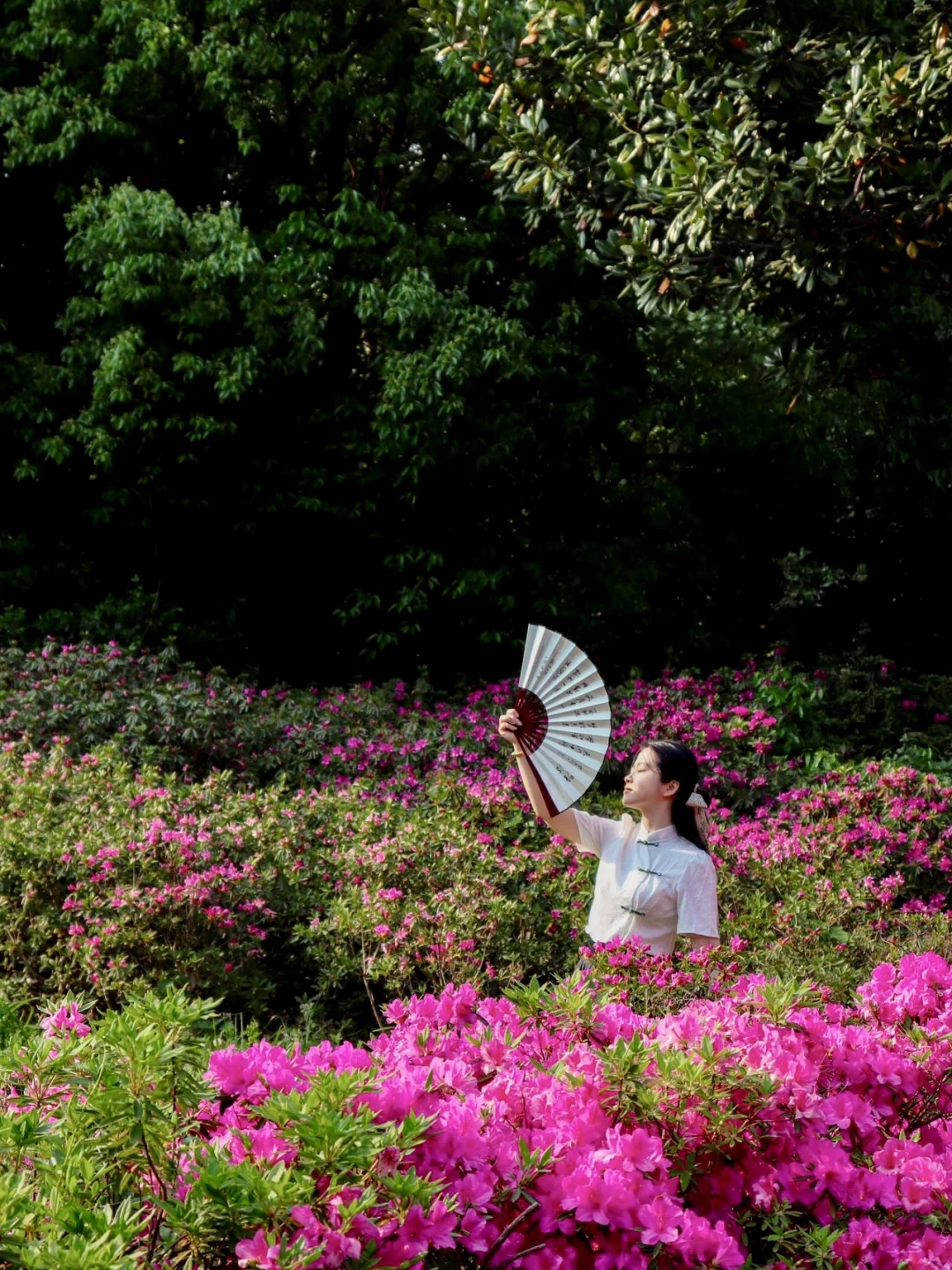 以为江南春色都藏在西湖⁉️直到我邂逅了尚湖