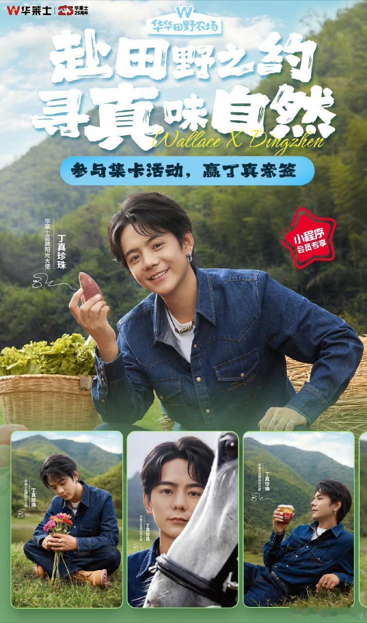 丁真华莱士真真好味 今天我终于实现了“华莱士套餐 + 丁真周边”的梦幻合影！🥳