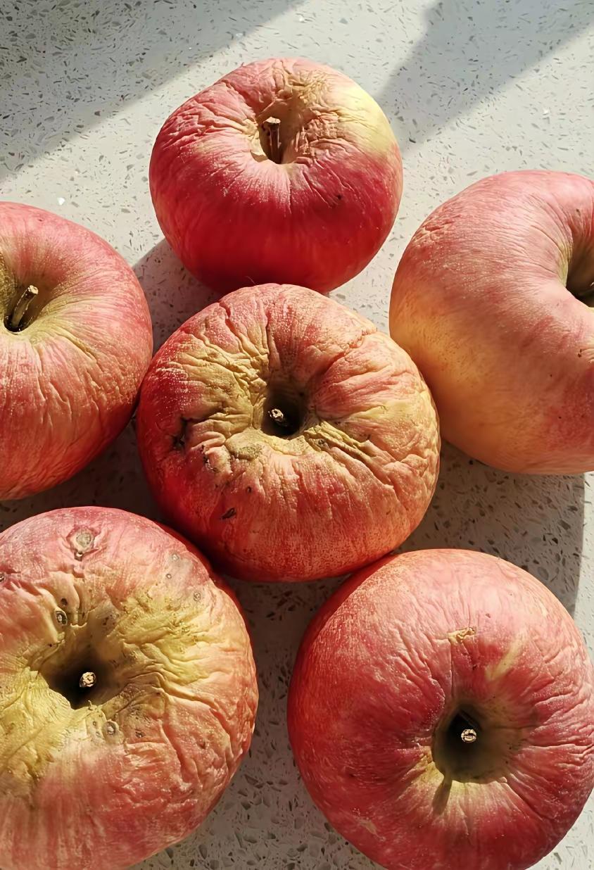 唉！现在的年轻人啊？
人家嫌没有水分了，皱皱巴巴，像老树皮，不能吃了，让咱扔掉，