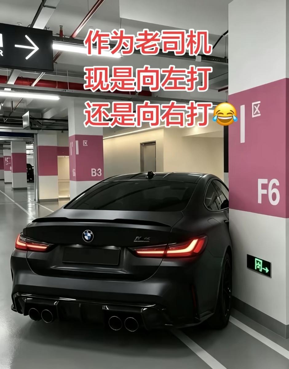 这车停得这么紧，服了老铁！这是进库还是出库？往左打还是往右打？请指点。[捂脸][