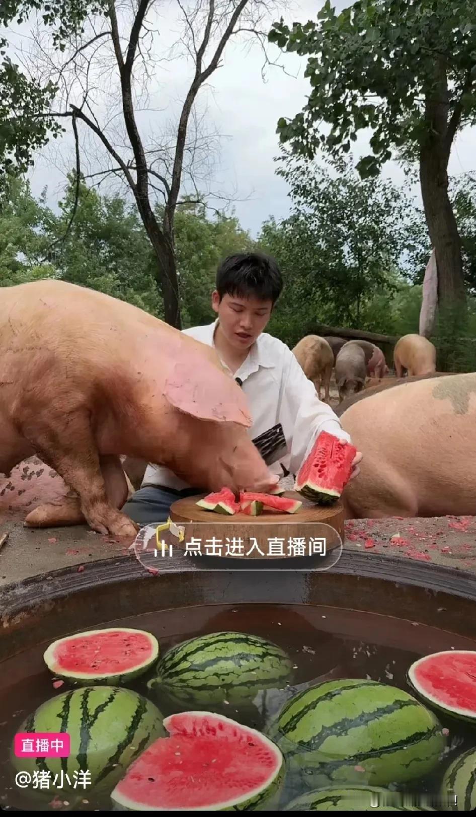 你这个直播间，应该让韩国人多看看[笑哭]
