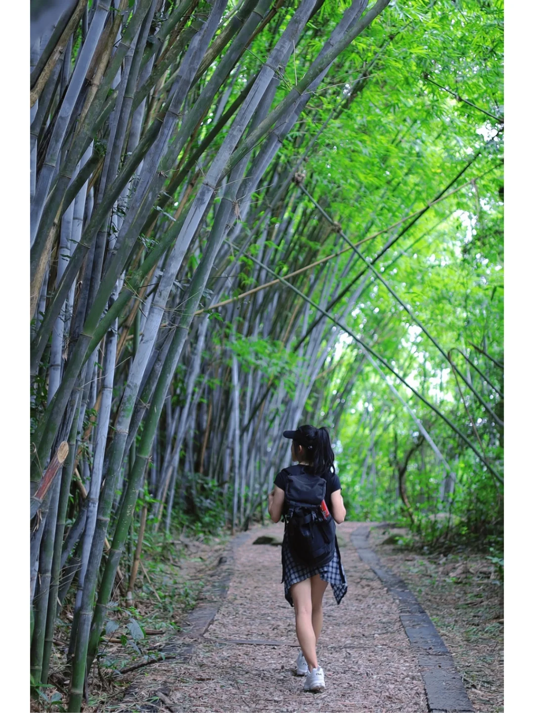 每周一山｜夏日徒步宝藏地🌿闯进绿野仙踪