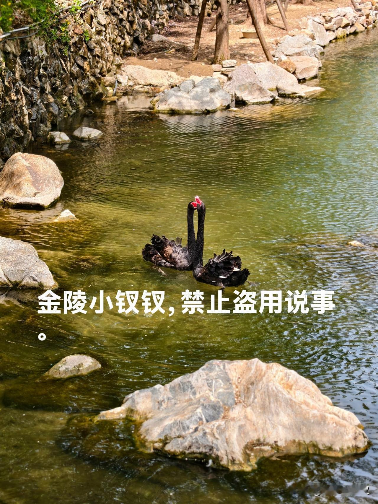 同样是退休，她俩活成让我羡慕的样子！

认识一对夫妻，比我大六七岁的样子，也就是